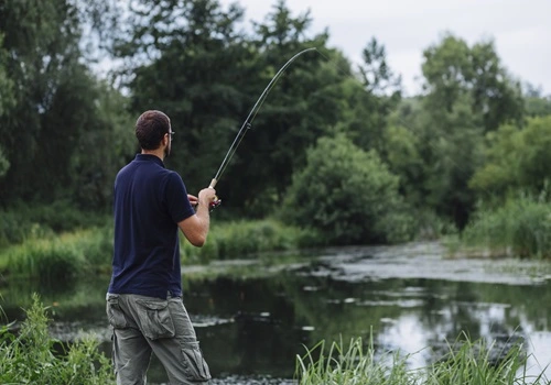 Saiba quais são os melhores apps para detectar peixes (Foto: Freepik)